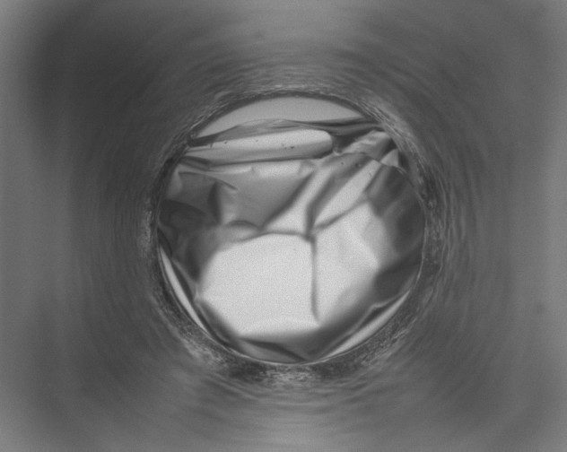 X0000075360401200610061752