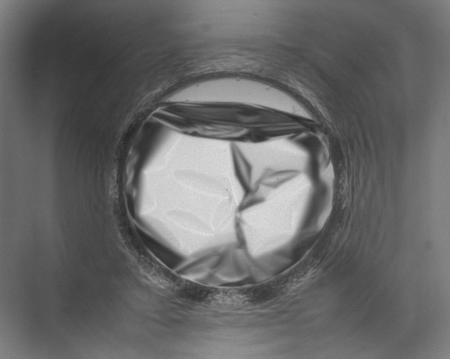 X0000075360403200610061752