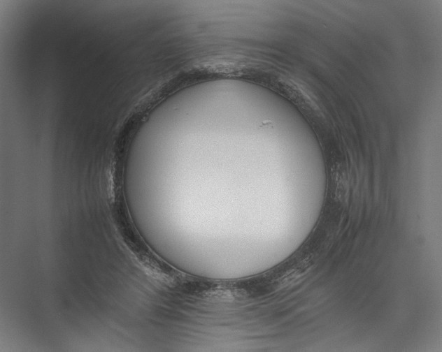 X0000075360404200610061752