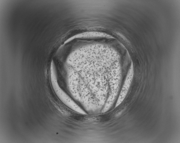 X0000075360405200610061752