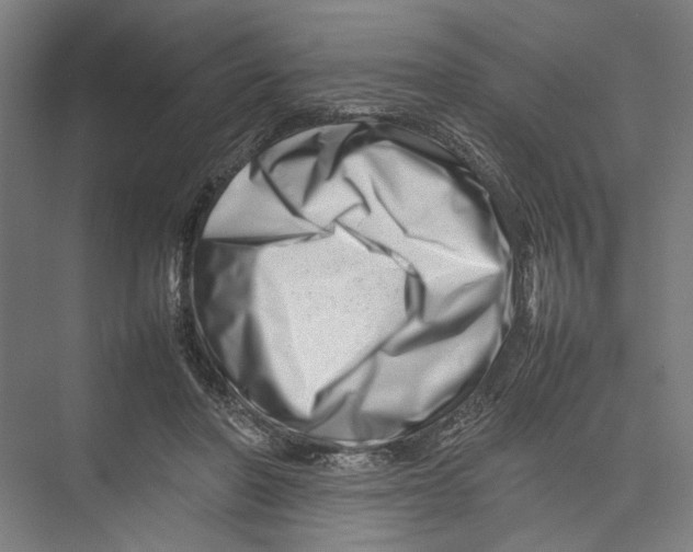 X0000075360406200610061752