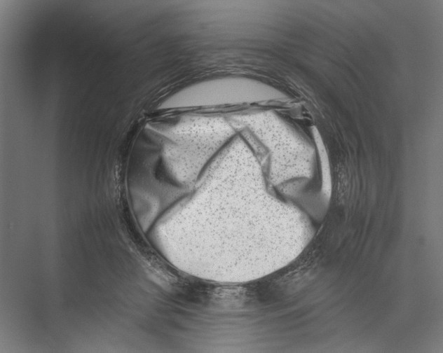 X0000075360410200610061752