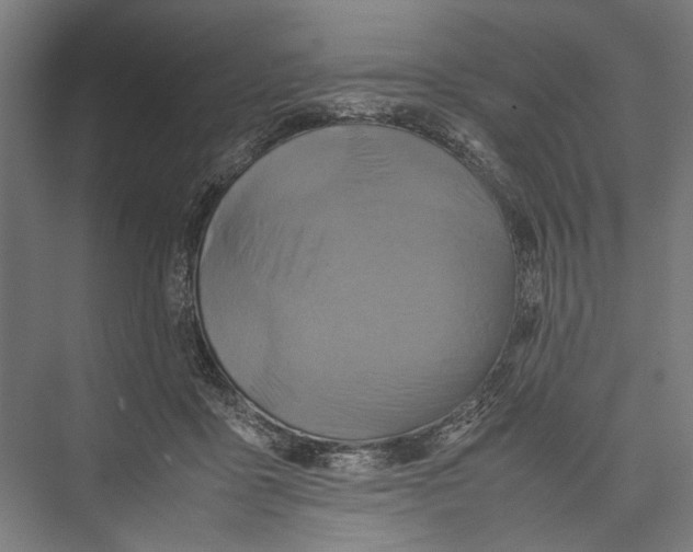 X0000075360411200610061752