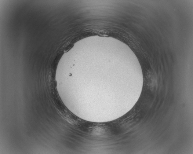 X0000075360412200610061752