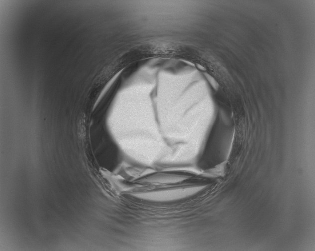 X0000075360413200610061752