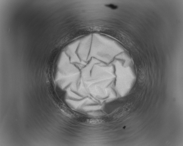 X0000075360414200610061752