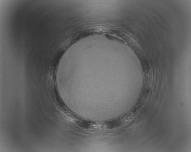 X0000075360415200610061752