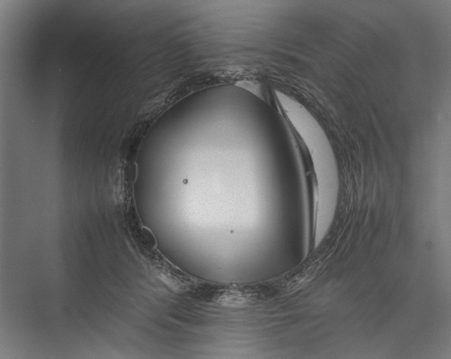 X0000075360416200610061752