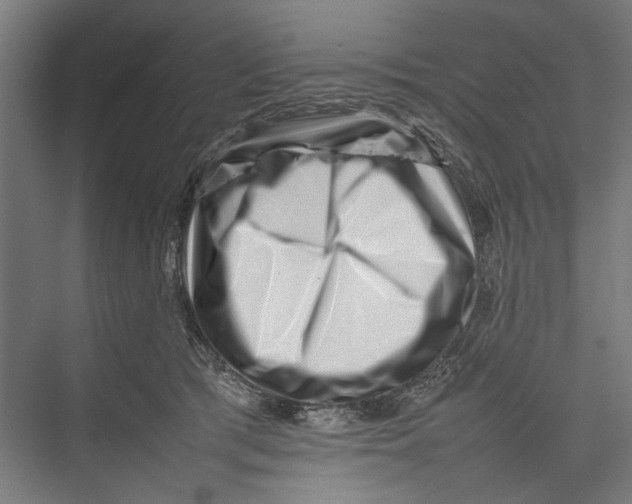 X0000075360417200610061752