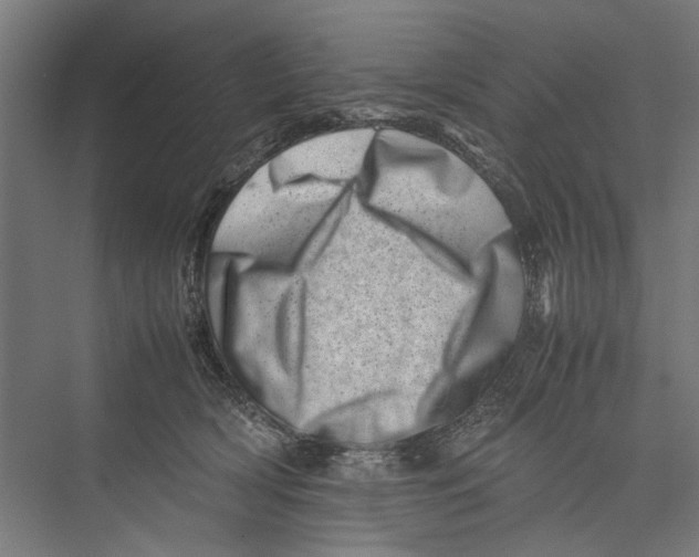 X0000075360418200610061752