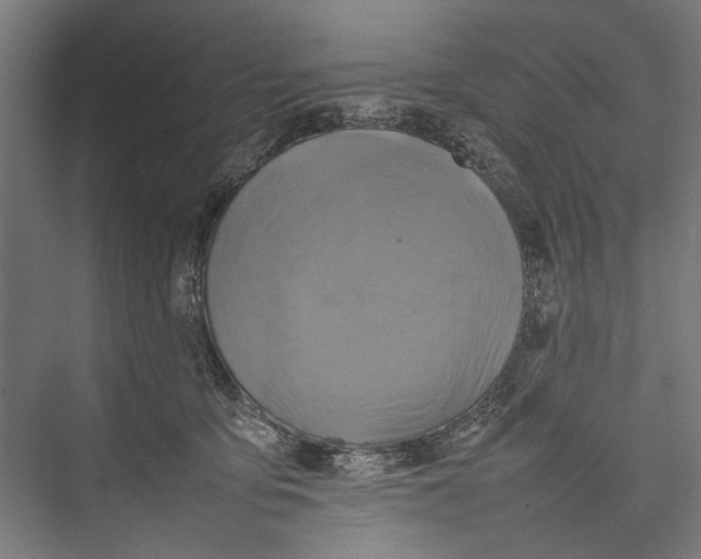 X0000075360419200610061752