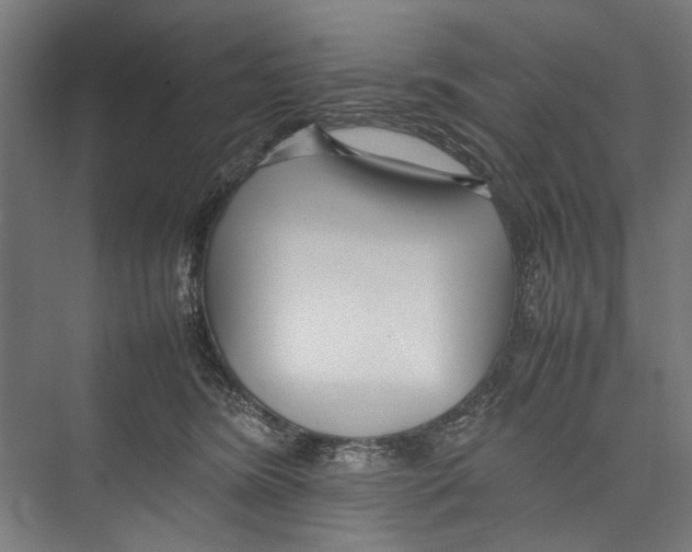 X0000075360420200610061752