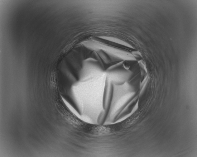 X0000075360421200610061752