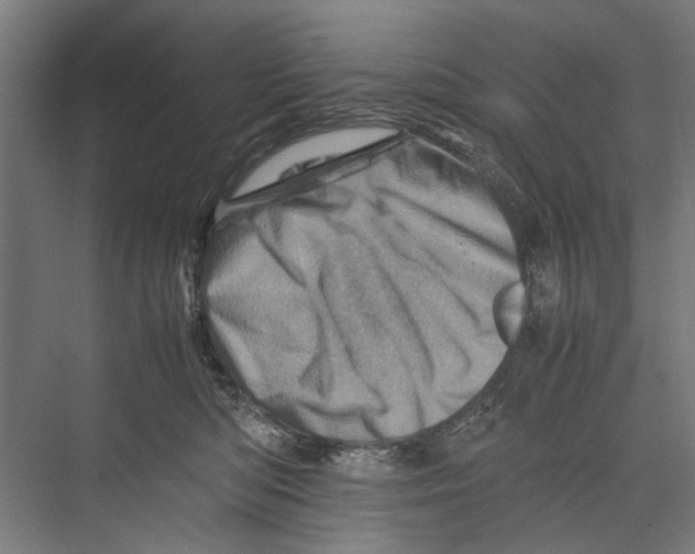 X0000075360422200610061752