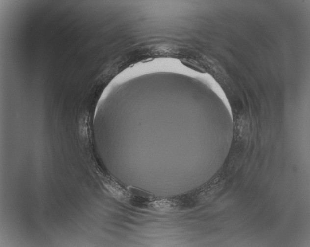 X0000075360423200610061752