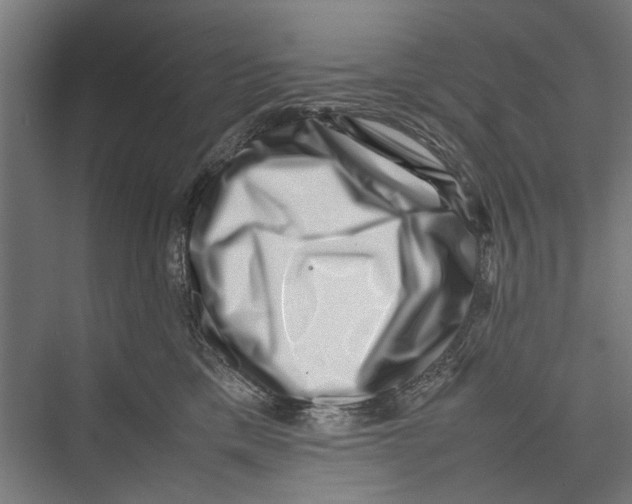 X0000075360425200610061752