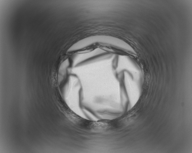 X0000075360429200610061751