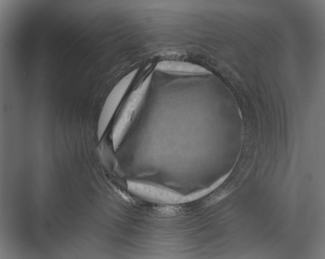 X0000075360432200610061751