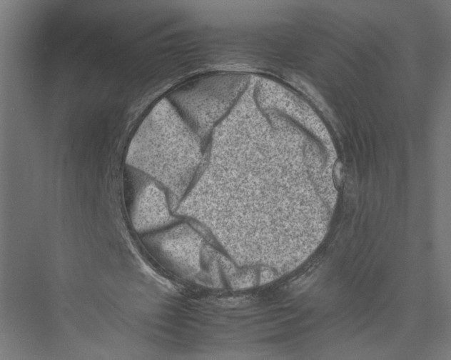 X0000075360433200610061751