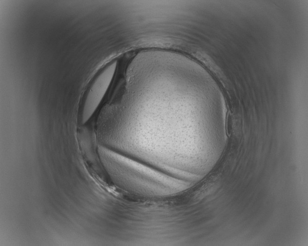 X0000075360434200610061751