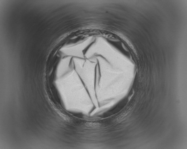 X0000075360437200610061751