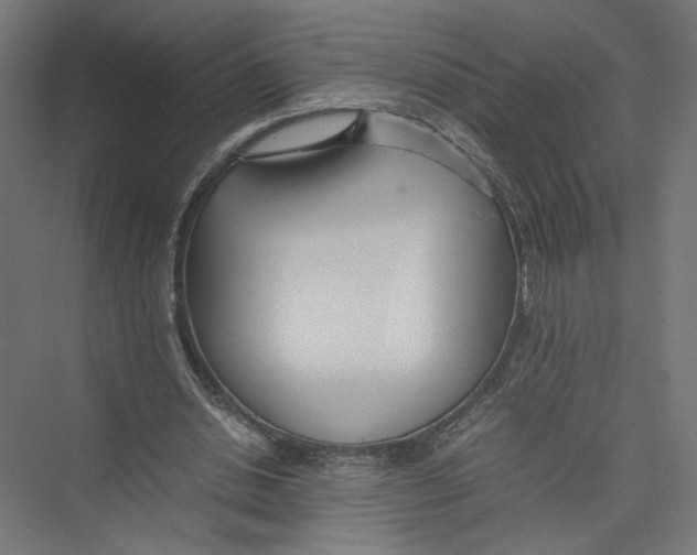 X0000075360438200610061751