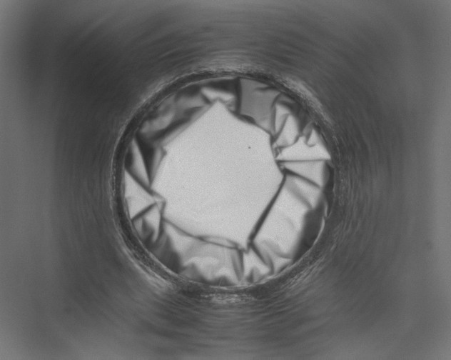 X0000075360439200610061751