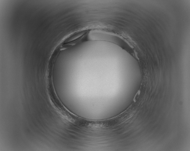 X0000075360440200610061751