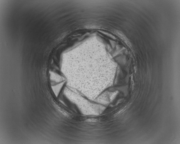 X0000075360441200610061751