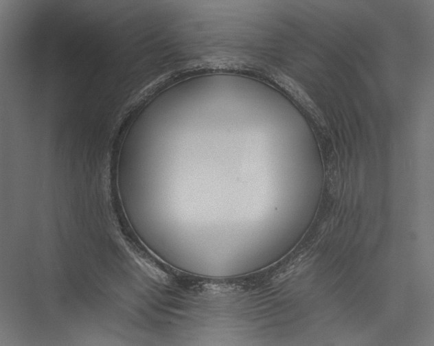 X0000075360442200610061751