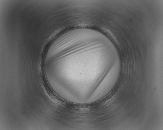 X0000075360443200610061751