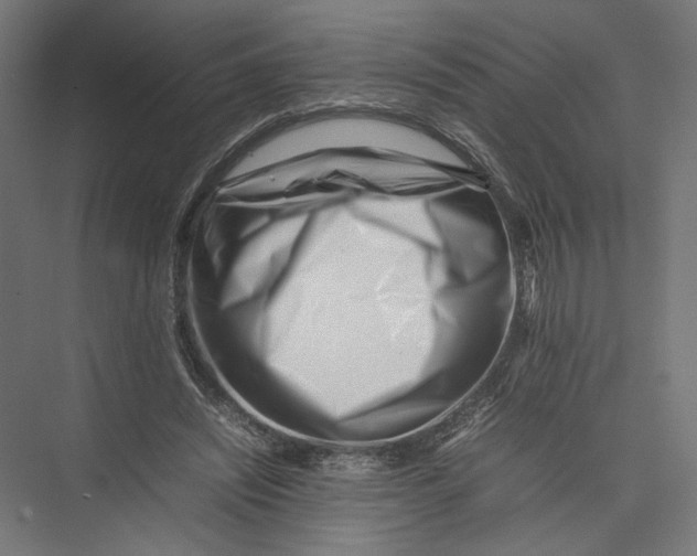 X0000075360444200610061751