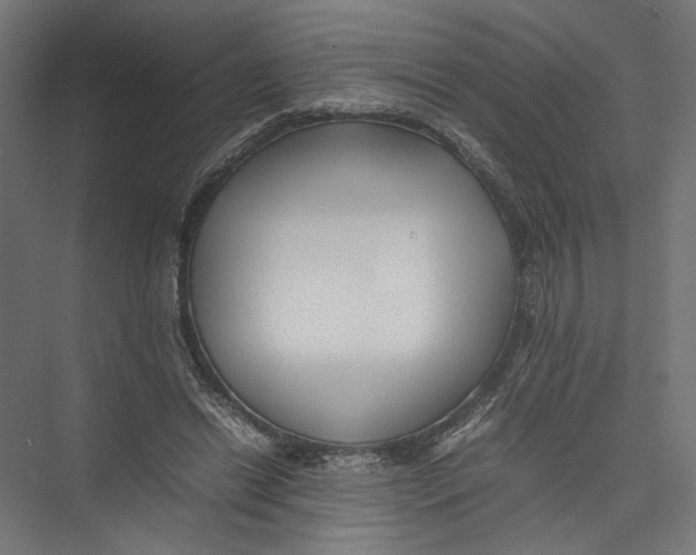 X0000075360446200610061751