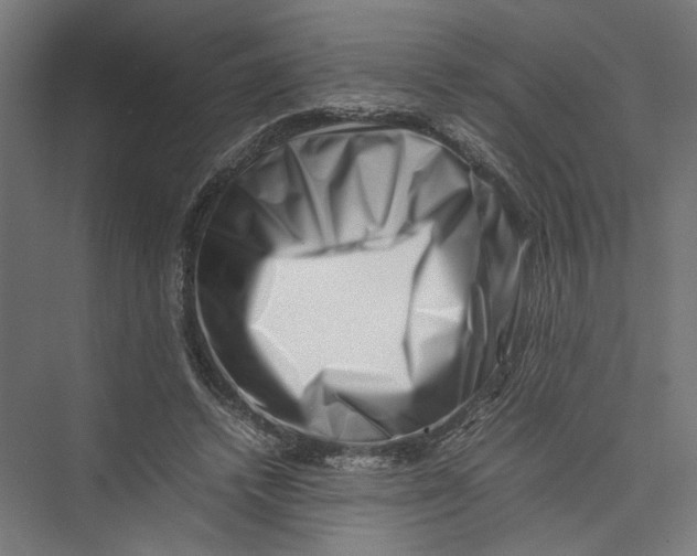 X0000075360448200610061751