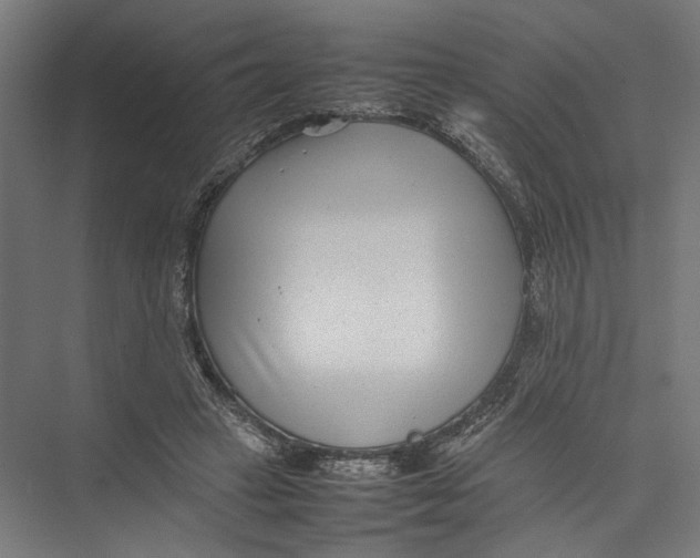 X0000075360449200610061751