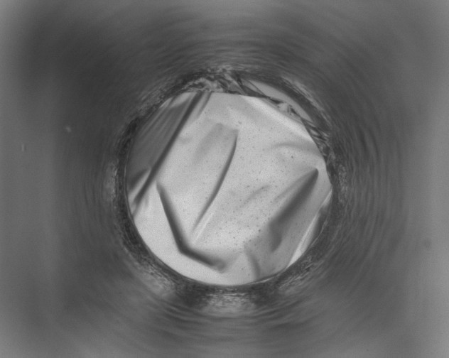 X0000075360451200610061751