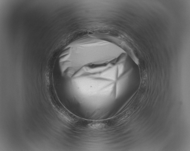 X0000075360452200610061751