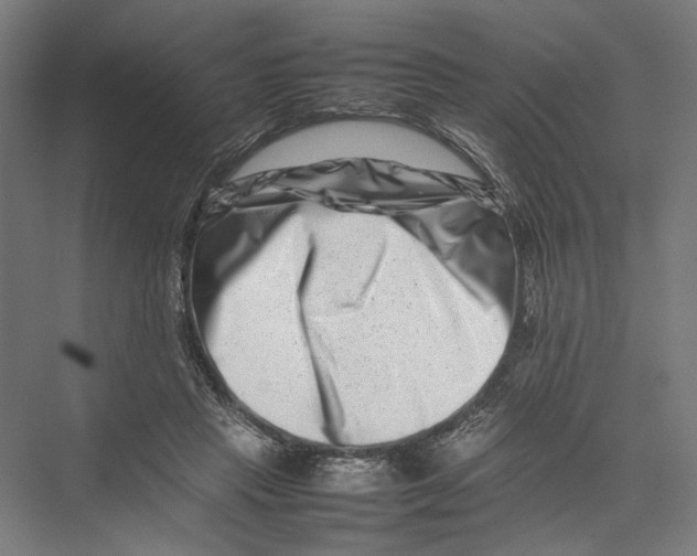 X0000075360453200610061751