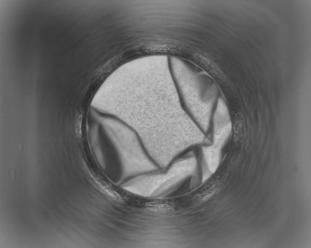 X0000075360454200610061751