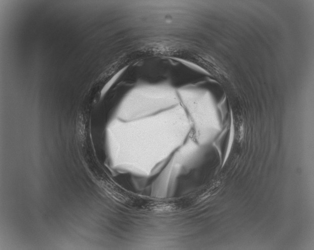 X0000075360456200610061751