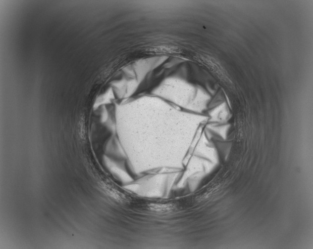 X0000075360457200610061751