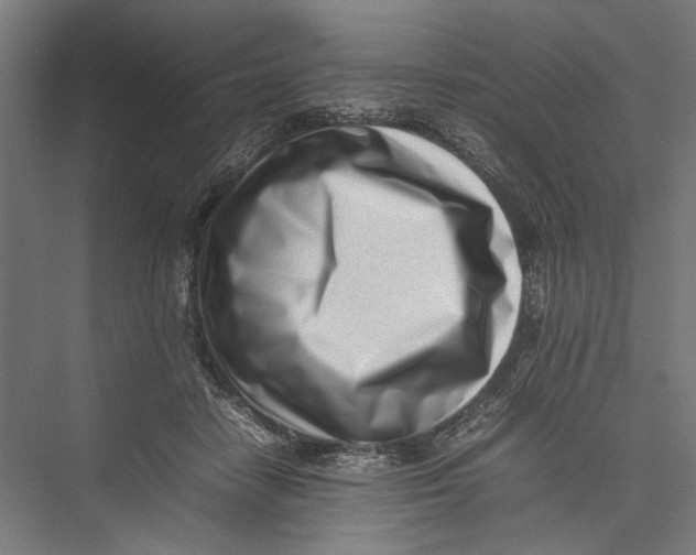 X0000075360458200610061751