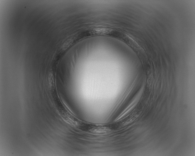 X0000075360459200610061751