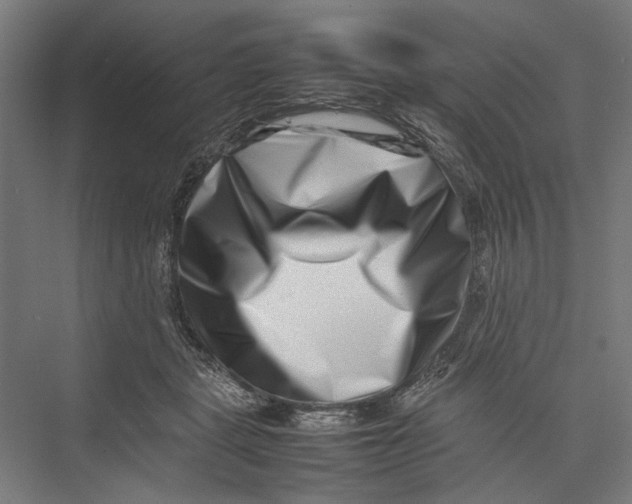 X0000075360461200610061751