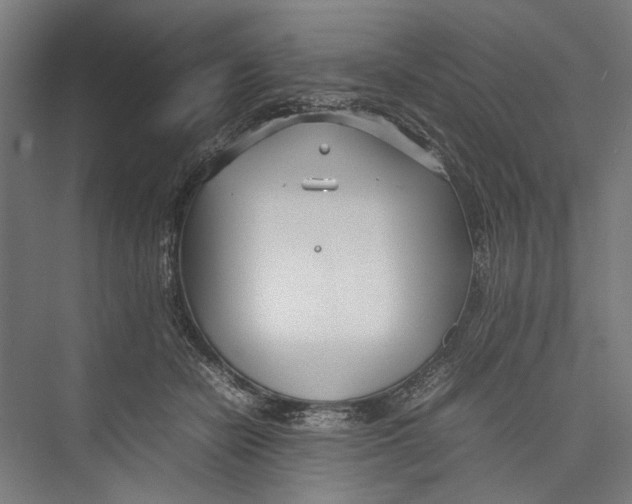 X0000075360462200610061751