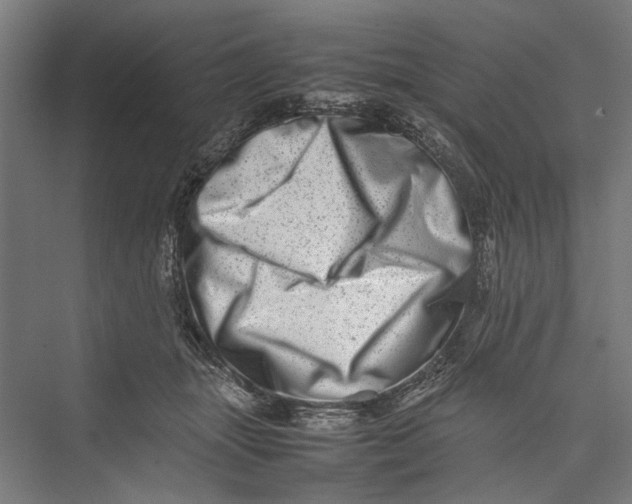 X0000075360463200610061751