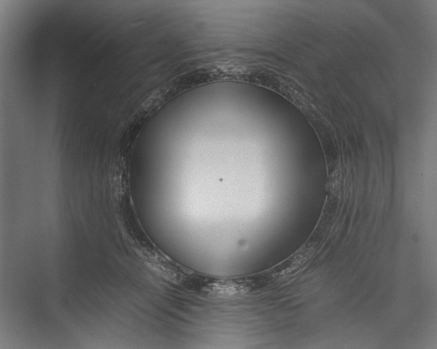 X0000075360464200610061751