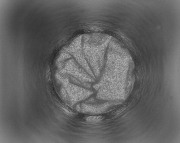 X0000075360465200610061751