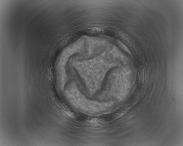 X0000075360467200610061751