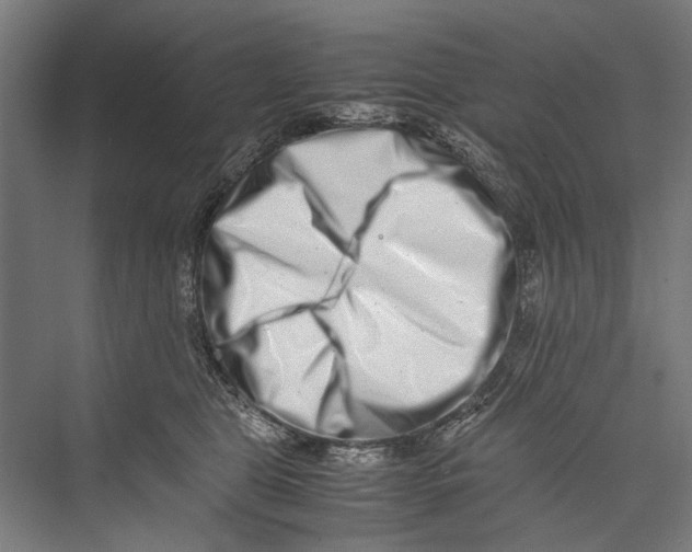 X0000075360469200610061751